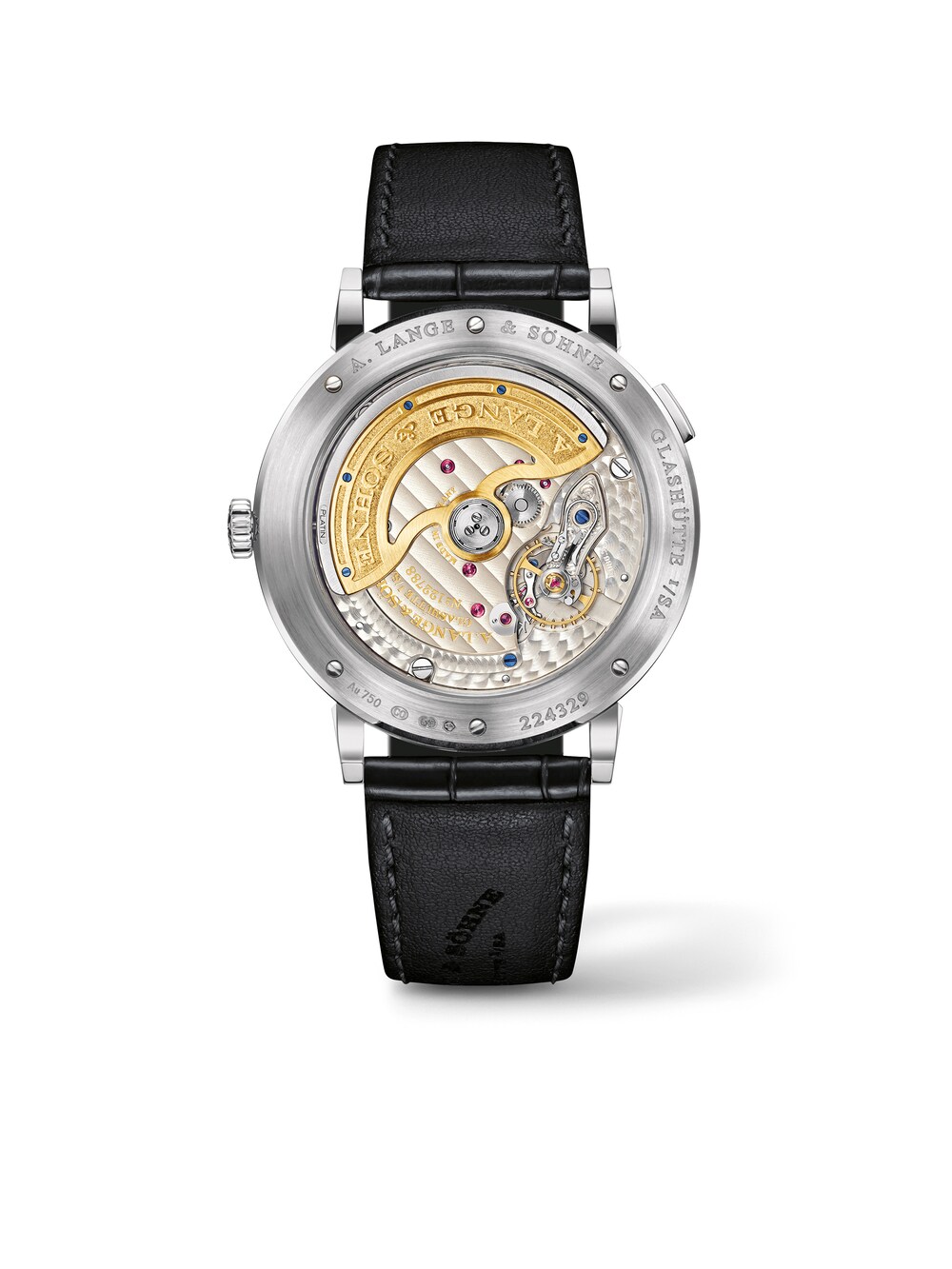 Saxonia Mondphase