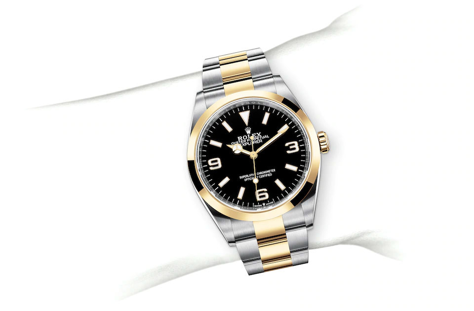 Rolex Explorer 36 in Oystersteel and gold, m124273-0001 |Wempe 
