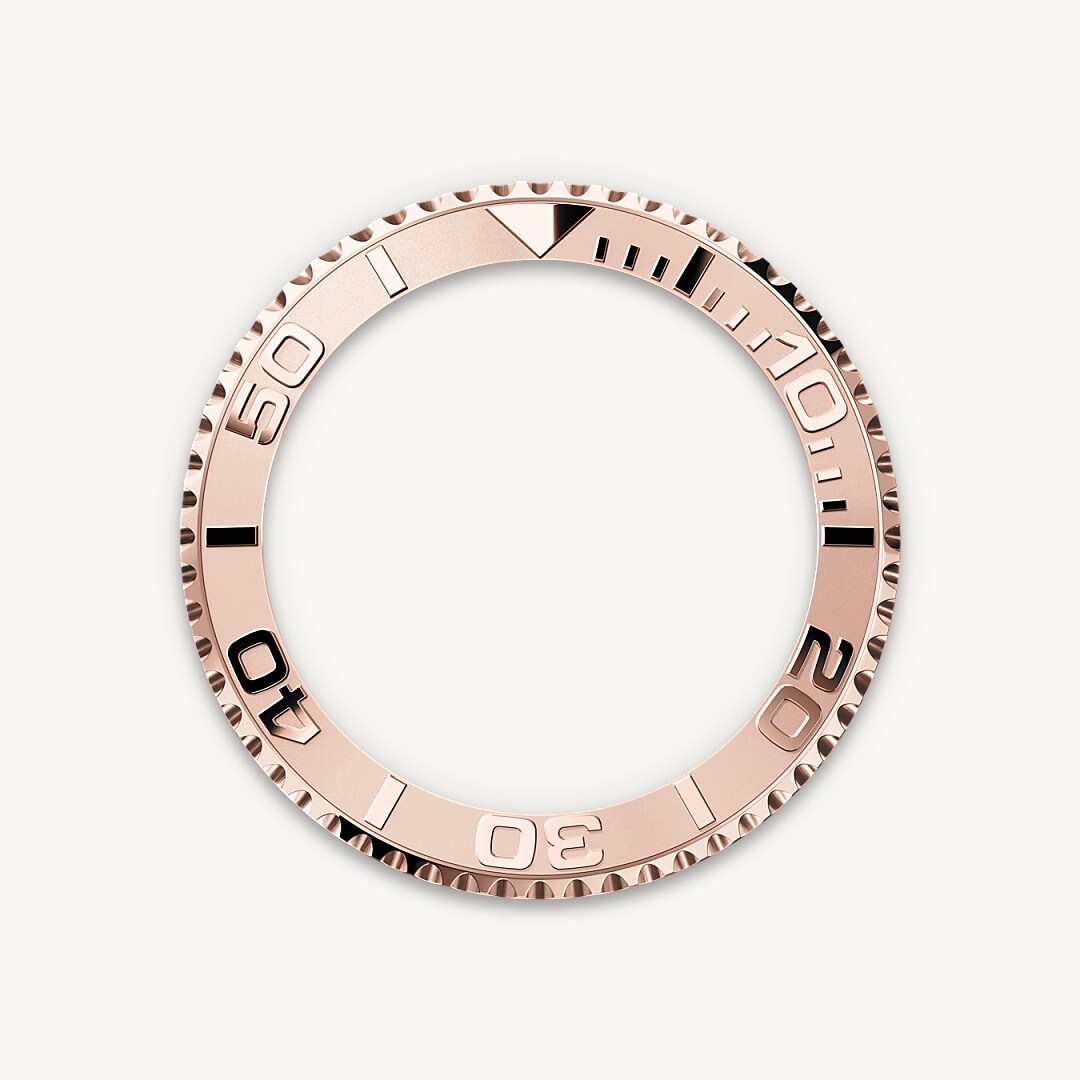 Lunette tournante bidirectionnelle