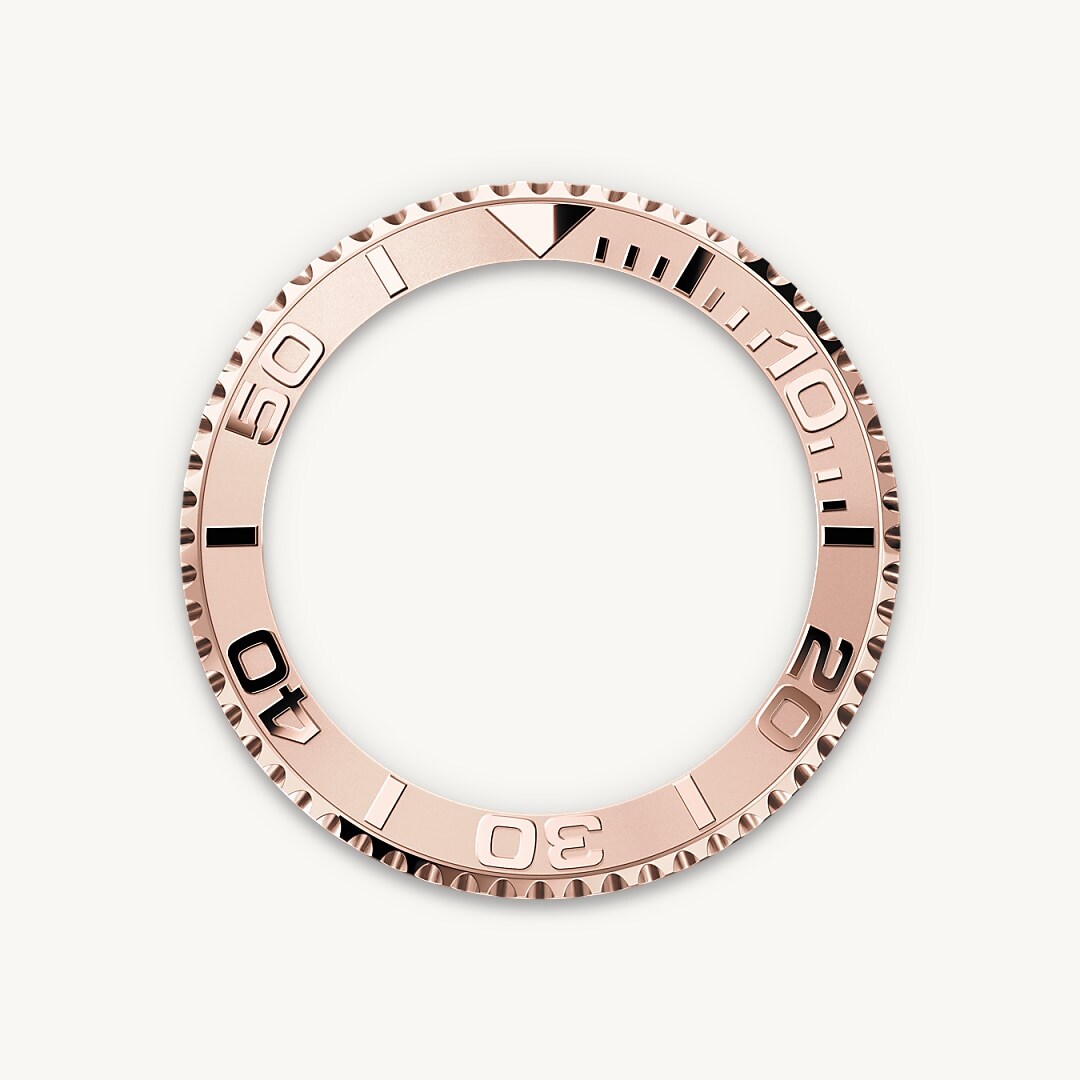 Bidirectional Rotatable Bezel