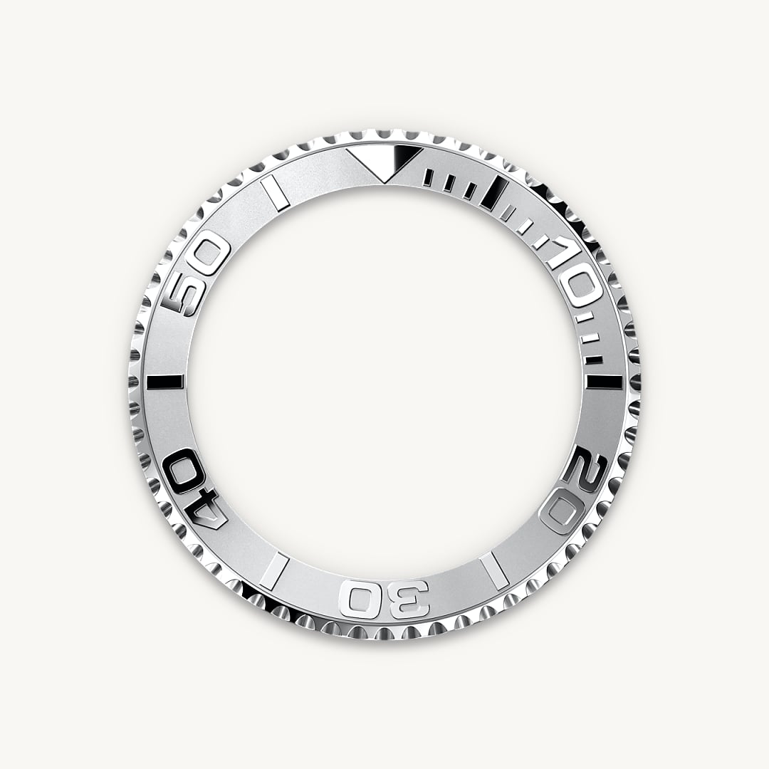 Bidirectional Rotatable Bezel