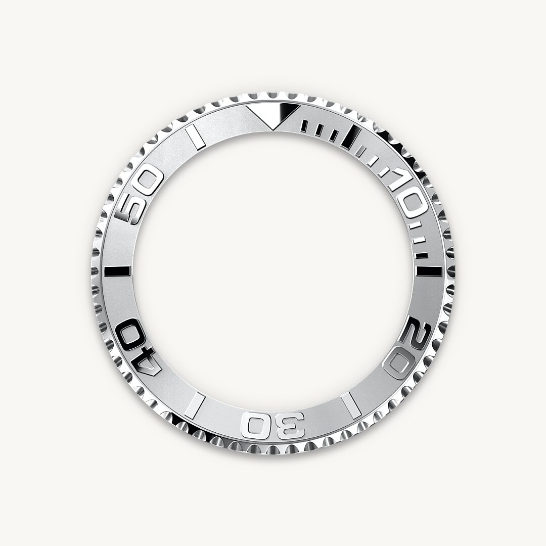 Bidirectional Rotatable Bezel