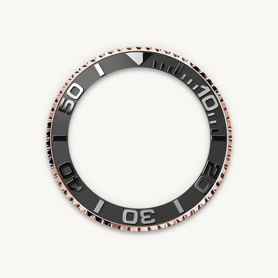 Bidirectional Rotatable Bezel