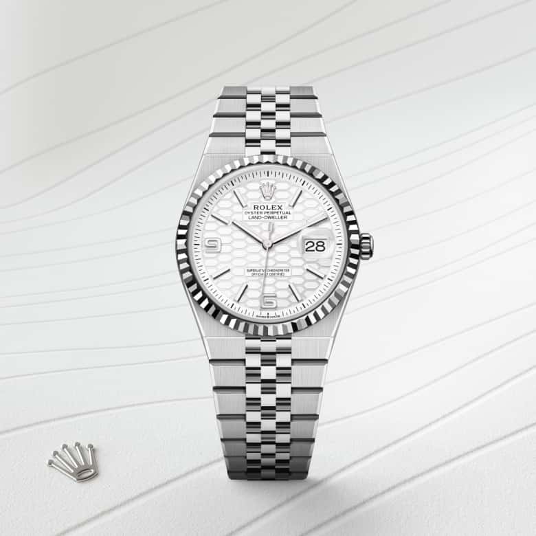 Rolex Land-Dweller 36