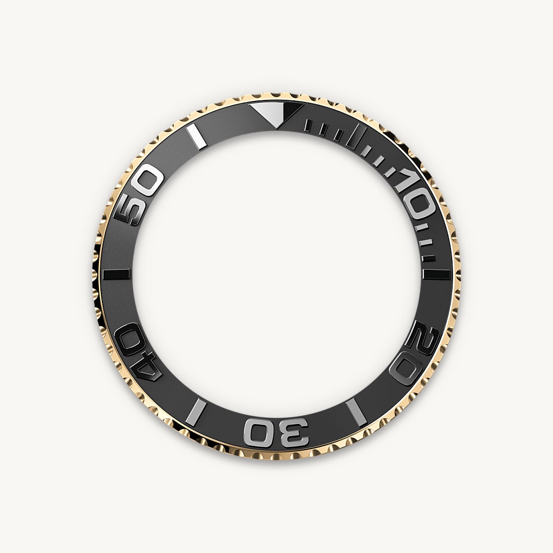 Bidirectional Rotatable Bezel