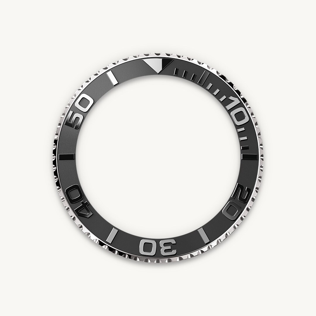 Bidirectional Rotatable Bezel