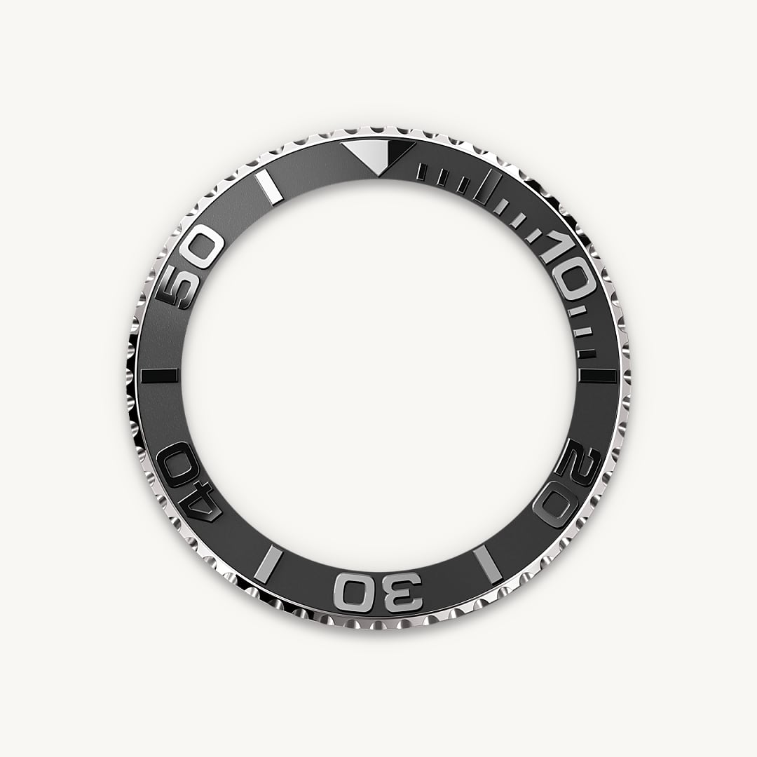 Bidirectional Rotatable Bezel