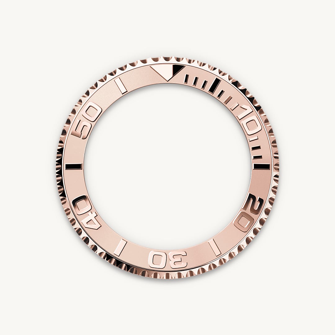 Bidirectional Rotatable Bezel