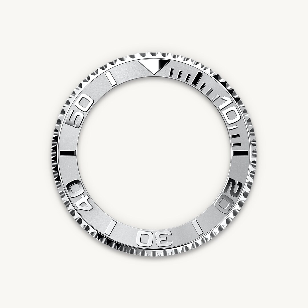 Bidirectional Rotatable Bezel