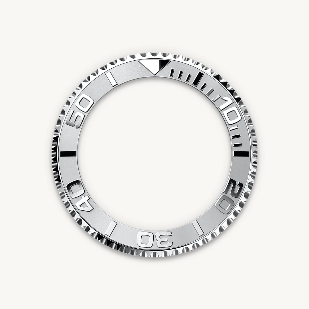 Bidirectional Rotatable Bezel